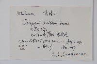 虎榛子藏品圖，第2張