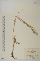 山蒿藏品圖，第1張