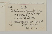 紊蒿藏品圖，第2張