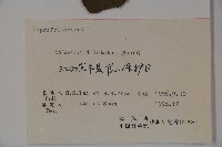 莢迷藏品圖，第2張