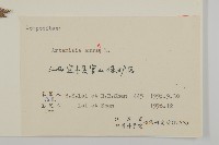 黃花蒿藏品圖，第3張