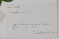 牛膝藏品圖，第2張