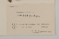 杓兒菜藏品圖，第3張