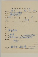 豬草、瘤果菊藏品圖，第2張