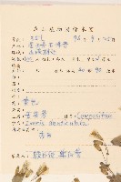 苦實菜藏品圖，第2張