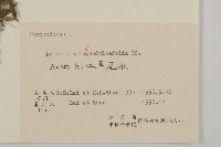 野艾蒿藏品圖，第3張