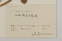 鬼針藏品圖，第3張