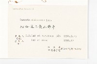 中國菟絲子藏品圖，第3張