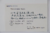 鐵冬青藏品圖，第2張