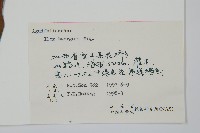 短梗冬青藏品圖，第2張