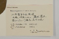 雷公藤藏品圖，第3張