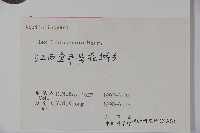 羅浮冬青、矮冬青藏品圖，第2張