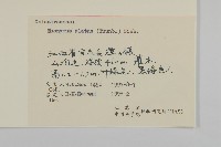 衛矛藏品圖，第3張