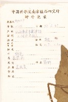 山萵苣藏品圖，第2張