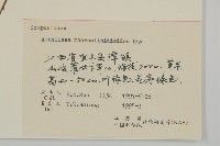 阿里山鬼督郵藏品圖，第3張
