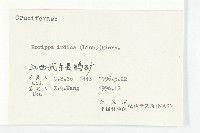 葶藶藏品圖，第3張