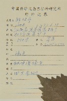 寬葉金粟蘭藏品圖，第2張