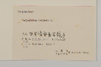 杓兒菜藏品圖，第3張