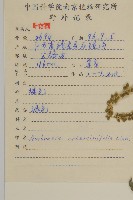 豬草、瘤果菊藏品圖，第2張