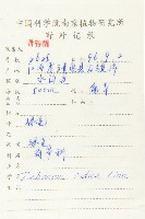 馬交兒藏品圖，第2張