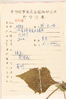 豨簽藏品圖，第2張