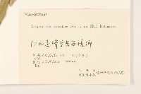 紅面番藏品圖，第3張