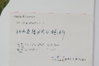 雞冠花藏品圖，第2張