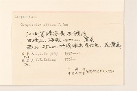 鼠麴草藏品圖，第3張