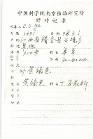 鼠耳芥藏品圖，第2張