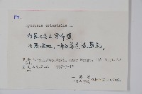 狼紫草藏品圖，第2張