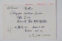 虎榛子藏品圖，第2張