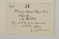 臭蒿藏品圖，第2張