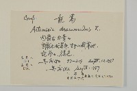 龍蒿藏品圖，第2張