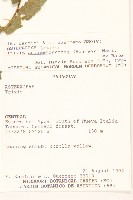 澤瀉藏品圖，第2張