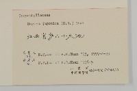 瓜槌草、漆姑草藏品圖，第3張