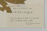 剪秋羅、剪秋紗、漢宮秋藏品圖，第3張