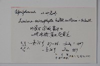 小葉忍冬藏品圖，第2張