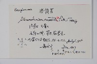 紫筒草藏品圖，第2張