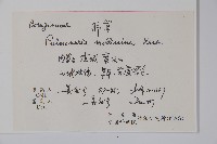 腺毛肺草藏品圖，第2張