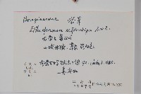 紫草藏品圖，第2張