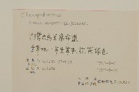 地膚、掃手草藏品圖，第2張