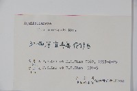 大柄冬青藏品圖，第2張