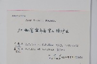 青榨槭藏品圖，第2張