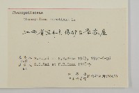 小葉藜藏品圖，第3張