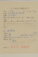 藜、灰藜藏品圖，第2張