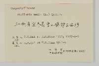 繁縷藏品圖，第3張