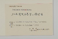 雀舌草藏品圖，第3張