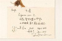 飛蓬藏品圖，第2張