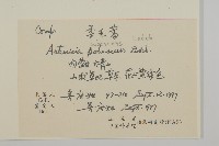 柔毛蒿藏品圖，第2張