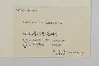 衛矛藏品圖，第3張